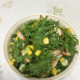 夏野菜と鶏ハムのサラダサラダ